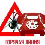 Всероссийская «горячая линия» по профилактике клещевого энцефалита